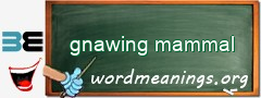 WordMeaning blackboard for gnawing mammal